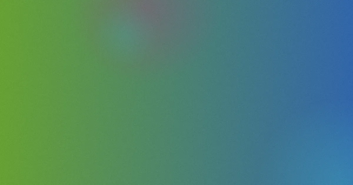 包花束教程测评：新手避坑